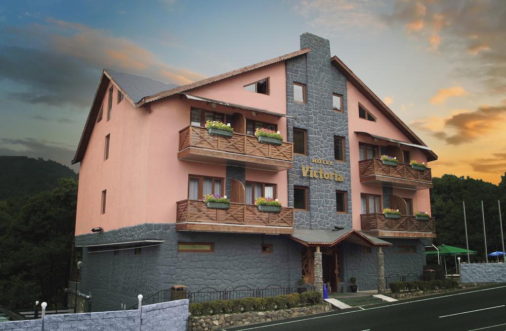 Hotel Victoria Бакуриани Екстериор снимка