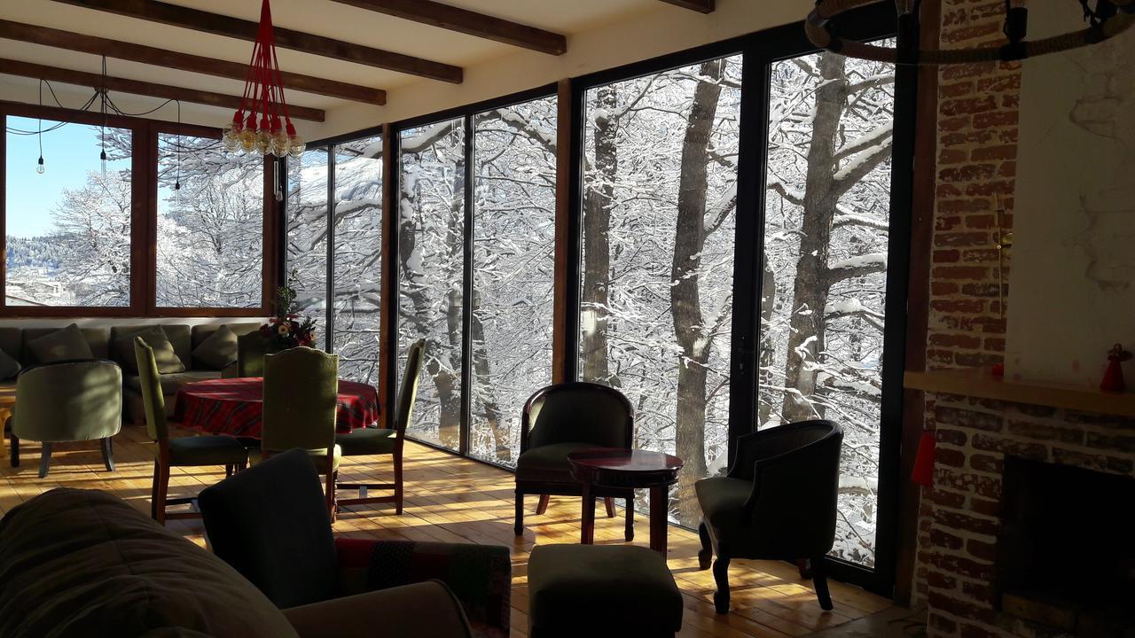 Hotel Victoria Бакуриани Екстериор снимка